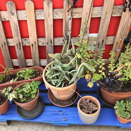 Ubytování v soukromí Dans La Loge De Marguerite Avec Sauna