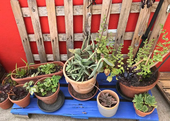 Quarto em Acomodações Particulares Dans La Loge De Marguerite Avec Sauna